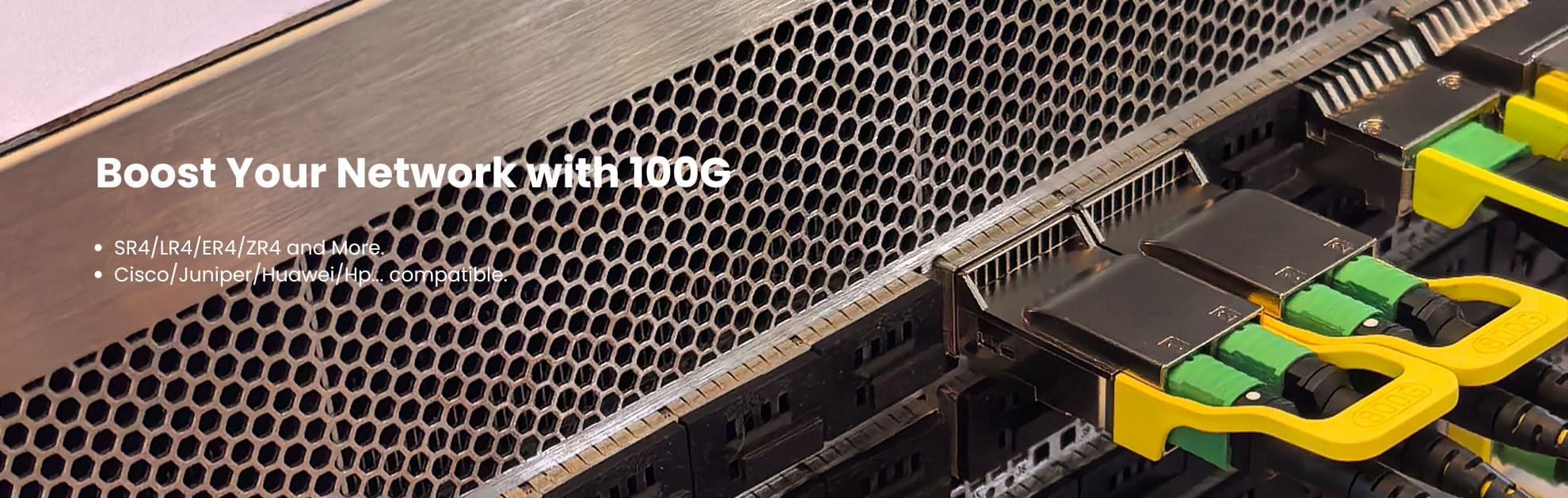 Boost Your Network with 100G
