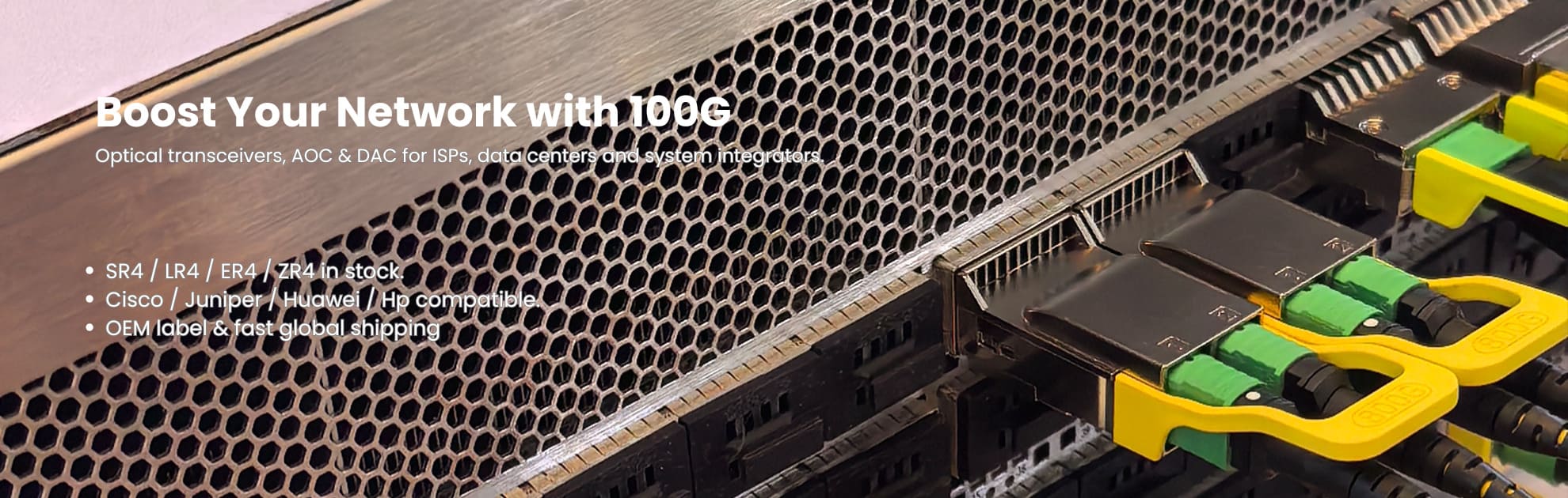 Boost Your Network with 100G